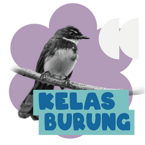 KELAS BURUNG